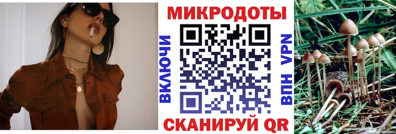 Псилоцибиновые грибы мицелий  как найти   Ильский 